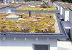 Izolace střech, teras a balkonů (3) (2)